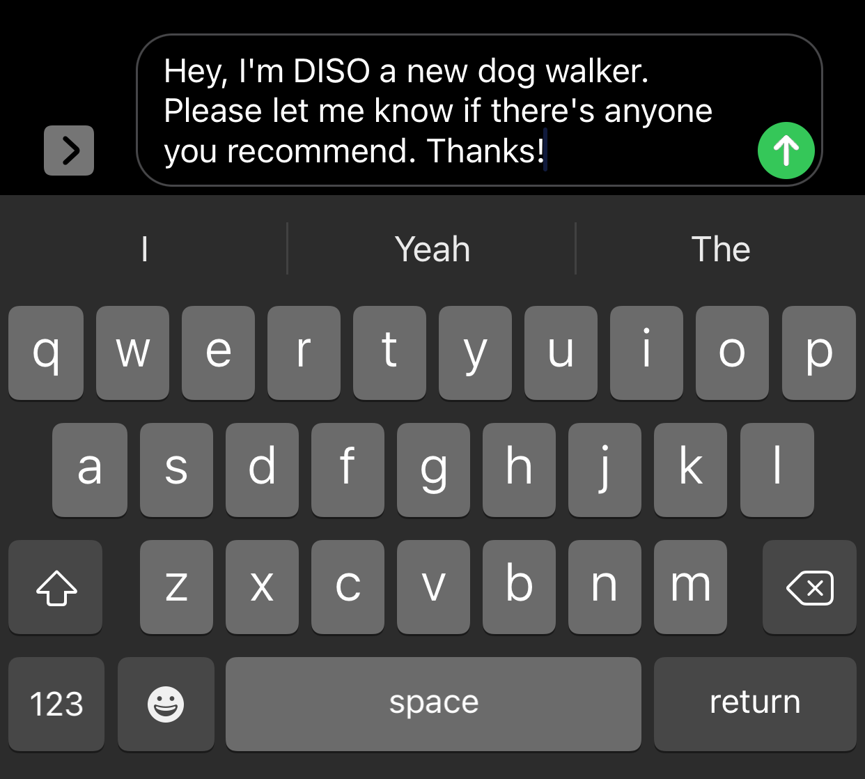 An example of the initialism DISO in a text message.