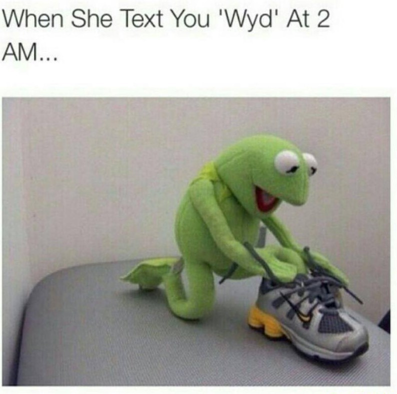 Wyd Text Meaning